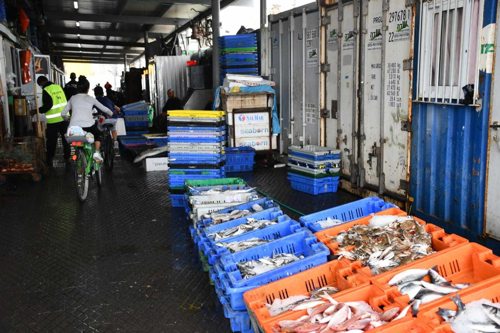 WhatsApp Image 2020-05-18 at 2.29.43 AM (1).jpeg.jpeg